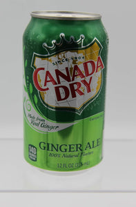 Soda Can Travel Safe - DP Distribution - 12oz - Canada Dry